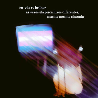 inteiro